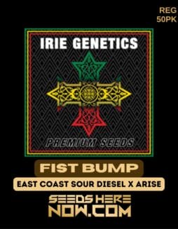 Irie Genetics - Fist Bump {REG} [50pk]Irie Genetics - Fist Bump {REG} [50pk]