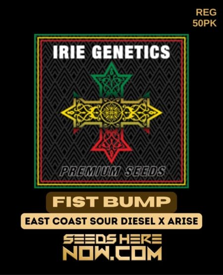 Irie Genetics - Fist Bump {reg} [50pk]