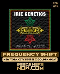 Frequency Shift (Feminized) - Irie Genetics