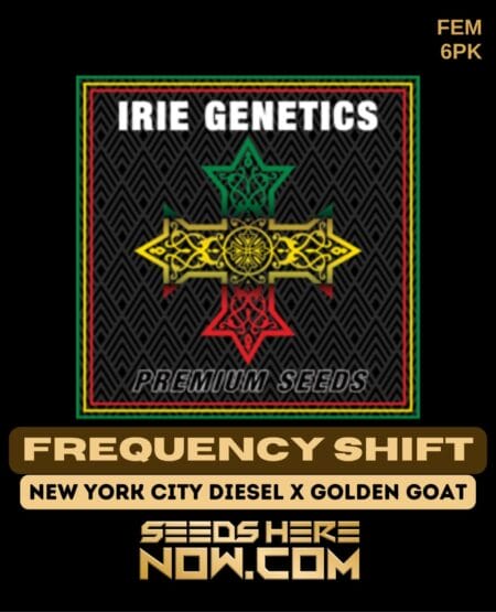 Irie Genetics - Frequency Shift {fem} [6pk]