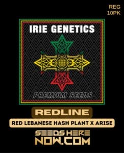 Redline (Regular) - Irie Genetics