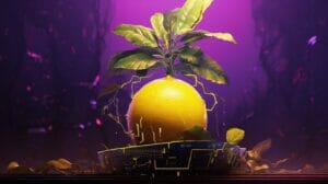 Lemon Royale Strain Review