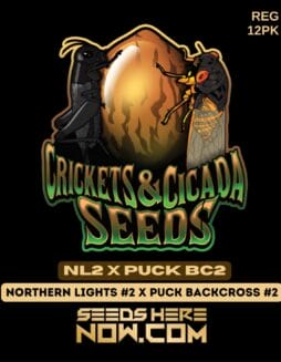Crickets and Cicadas Seeds - NL2 x Puck BC2 {REG} [12pk]Crickets and Cicadas Seeds - NL2 x Puck BC2 {REG} [12pk]