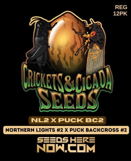 Crickets and Cicadas Seeds - Nl2 X Puck Bc2 {reg} [12pk]