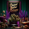 Peanut Butter Octane (Regular) (space) Thug Pug Genetics