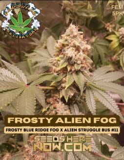 Eazy Daze Cultivators - Frosty Alien Fog {FEM} [5pk]Eazy Daze Cultivators - Frosty Alien Fog {FEM} [5pk]