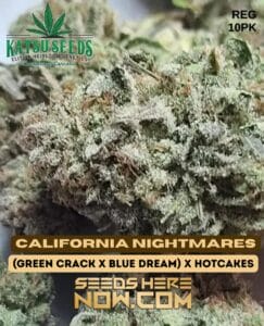 California Nightmares (regular) - Katsu Seeds