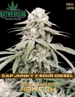 Katsu Seeds - Cap Junky x Sour Diesel {REG} [10pk]Katsu Seeds - Cap Junky x Sour Diesel {REG} [10pk]