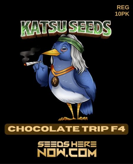 Katsu Seeds - Chocolate Trip F4 {reg} [10pk]