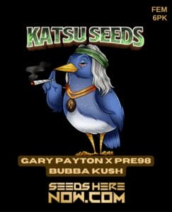 Gary Payton X Pre98 Bubba Kush (feminized) - Katsu Seeds