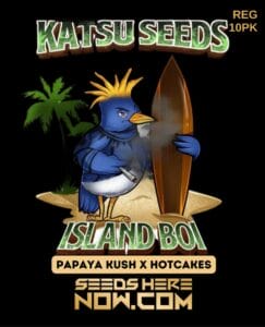Island Boi (regular) - Katsu Seeds