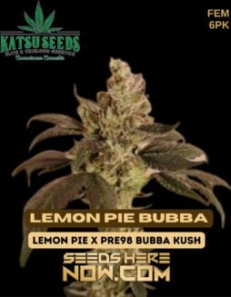 Katsu Seeds - Lemon Pie Bubba {FEM} [6pk]Katsu Seeds - Lemon Pie Bubba {FEM} [6pk]