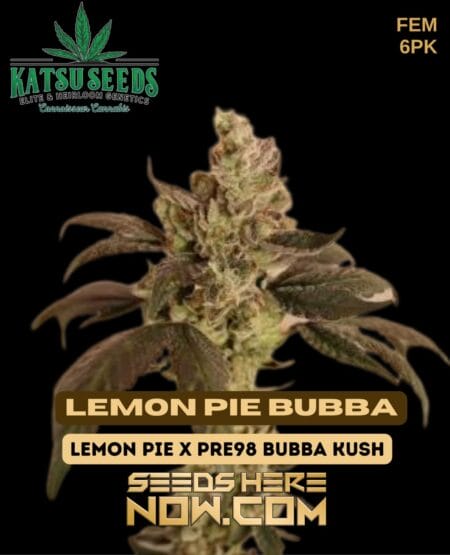 Katsu Seeds - Lemon Pie Bubba {fem} [6pk]