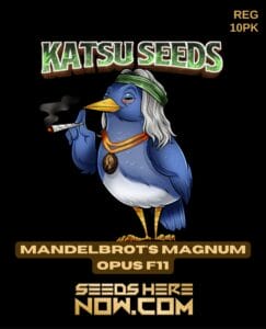 Mandelbrot's Magnum Opus F11 (regular) - Katsu Seeds