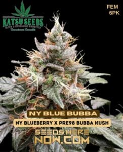 Ny Blue Bubba (feminized) - Katsu Seeds