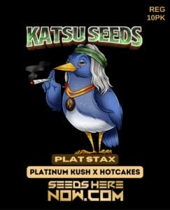 Plat Stax (regular) - Katsu Seeds