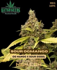 Sour Og Mango (regular) - Katsu Seeds