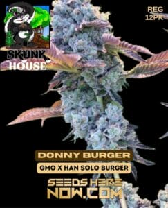 Donny Burger (Regular) - Skunk House Genetics