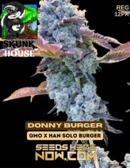 Skunk House Genetics - Donny Burger {REG} [12pk]Skunk House Genetics - Donny Burger {reg} [12pk]