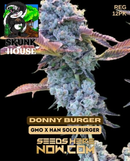 Skunk House Genetics - Donny Burger {reg} [12pk]