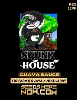 Skunk House Genetics - Guava Sauce {REG} [12pk]Skunk House Genetics - Guava Sauce {reg} [12pk]