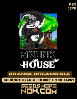 Skunk House Genetics - Orange Dreamsicle {REG} [12pk]Skunk House Genetics - Orange Dreamsicle {reg} [12pk]