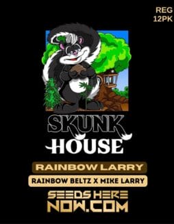 Skunk House Genetics - Rainbow Larry {REG} [12pk]Skunk House Genetics - Rainbow Larry {REG} [12pk]