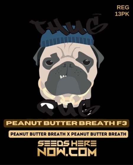 Thug Pug Genetics - Peanut Butter Breath F3 {reg} [13pk] *presale