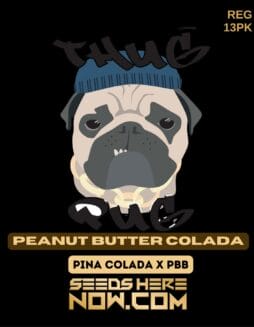 Thug Pug Genetics - Peanut Butter Colada {REG} [13pk]Thug Pug Genetics - Peanut Butter Colada REG 13pk Presale
