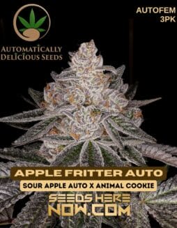 Automatically Delicious - Apple Fritter Auto Strain {AUTOFEM} [3pk]Automatically Delicious - Apple Fritter Auto {AUTOFEM} [3pk]