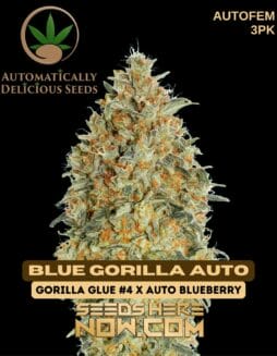 Automatically Delicious - Blue Gorilla Auto {AUTOFEM} [3pk]Automatically Delicious - Blue Gorilla Auto {AUTOFEM} [3pk]