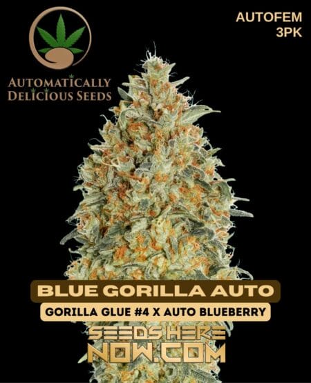 Automatically Delicious - Blue Gorilla Auto {autofem} [3pk]
