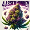 4 assed monkey (autoflower) - mephisto genetics