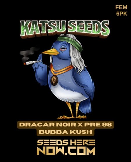 Katsu Seeds - Dracar Noir X Pre 98 Bubba Kush Fem 6pk