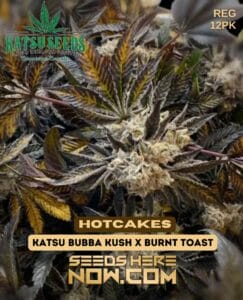 Hotcakes (regular) - Katsu Seeds