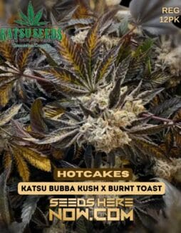 Katsu Seeds - Hotcakes {REG} [12pk]Katsu Seeds - Hotcakes {reg} [12pk]