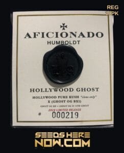 Hollywood Ghost (regular) - Aficionado Seeds