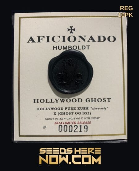 Aficionado Seeds - Hollywood Ghost {reg} [10pk]
