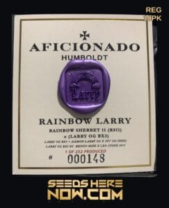 Rainbow Larry (regular) - Aficionado Seeds