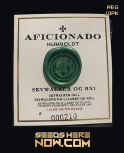 Skywalker Og Bx1 (regular) - Aficionado Seeds