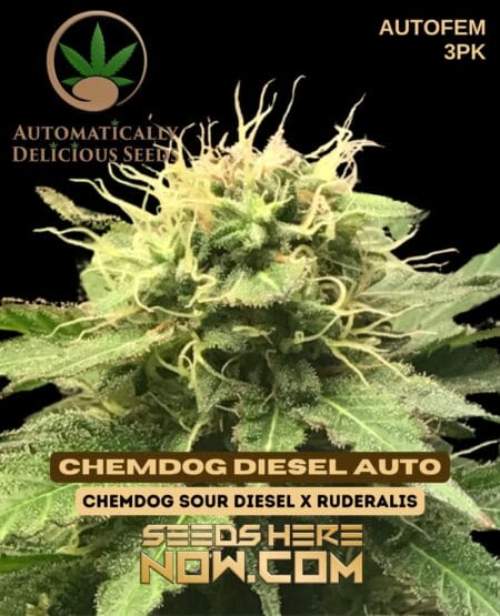Automatically Delicious - Chemdog Diesel Auto {autofem} [3pk]