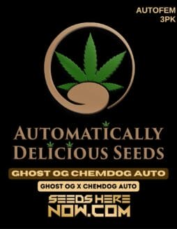 Automatically Delicious - Ghost OG Chemdog Auto {AUTOFEM} [3pk]Automatically Delicious - Ghost OG Chemdog Auto {AUTOFEM} [3pk]