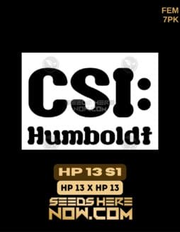 CSI Humboldt - HP 13 S1 {FEM} [7pk]Csi Humboldt - Hp 13 S1 Fem 7pk