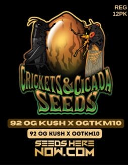 Crickets and Cicada Seeds - 92 OG Kush x OGTKM10 {REG} [12pk]Crickets and Cicada Seeds - 92 OG Kush x OGTKM10 {REG} [12pk]