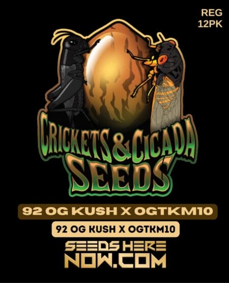Crickets and Cicada Seeds - 92 Og Kush X Ogtkm10 {reg} [12pk]