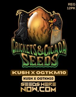 Crickets and Cicada Seeds - Kush x OGTKM10 {REG} [12pk]Crickets and Cicada Seeds - Kush x OGTKM10 {REG} [12pk]