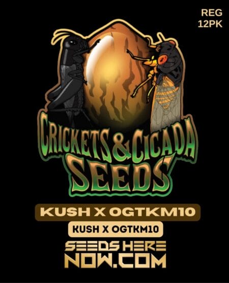 Crickets and Cicada Seeds - Kush X Ogtkm10 {reg} [12pk]