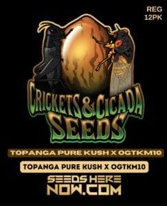 Topanga Pure Kush x OGTKM10 (Regular) - Crickets and Cicada Seeds