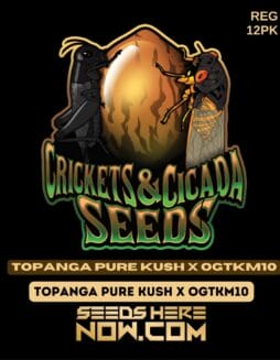 Crickets and Cicada Seeds - Topanga Pure Kush x OGTKM10 {REG} [12pk]Crickets and Cicada Seeds - Topanga Pure Kush X Ogtkm10 Reg 12pk