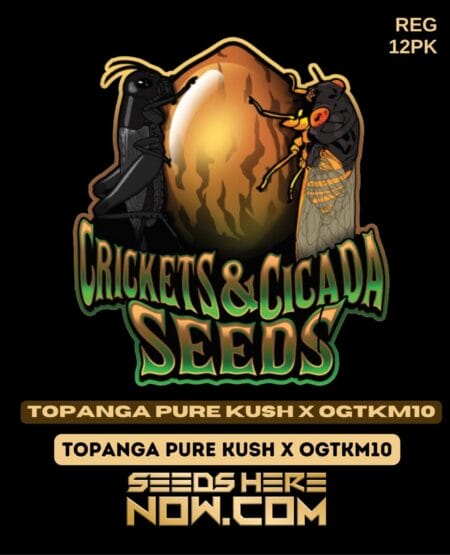 Crickets and Cicada Seeds - Topanga Pure Kush X Ogtkm10 Reg 12pk